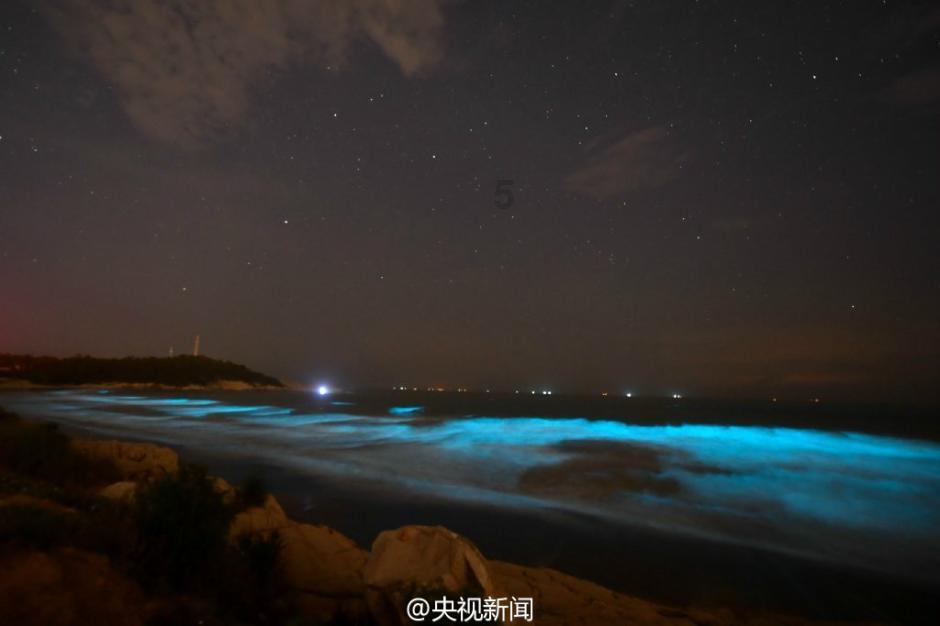 看,这是一条由人工智能创作生成的短视频! 数字人琴语告诉你2024年青岛如何培育新质生产力!
